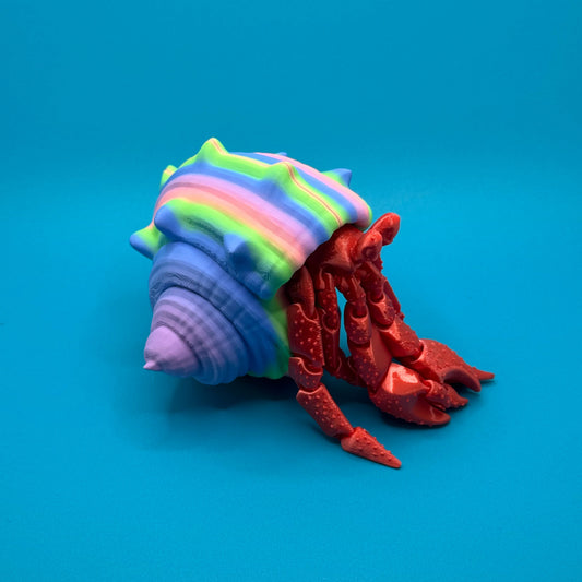 Hermit Crab on a blue background