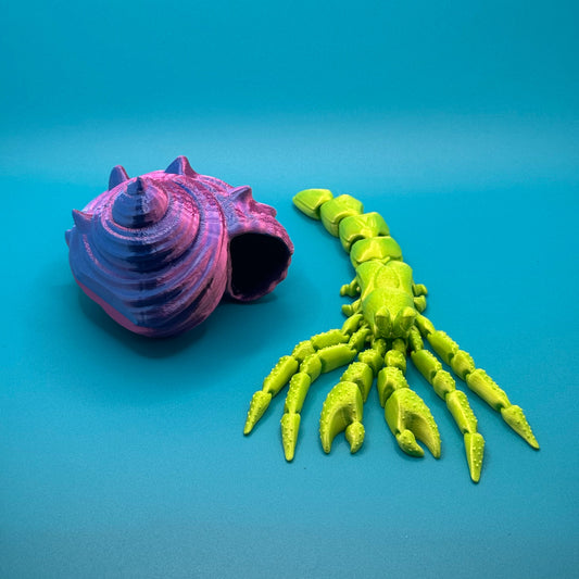 Hermit Crab on a blue background