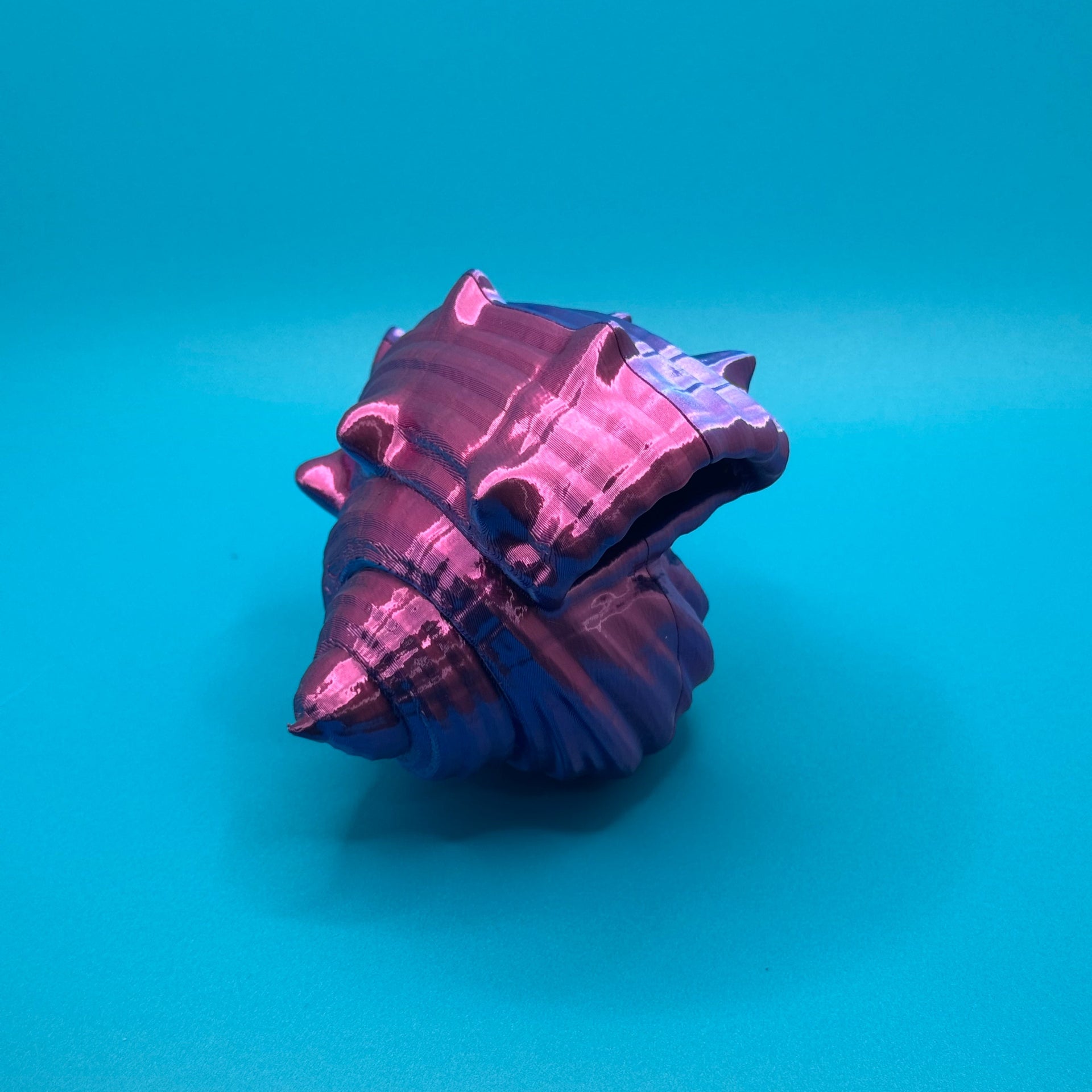 Hermit Crab on a blue background