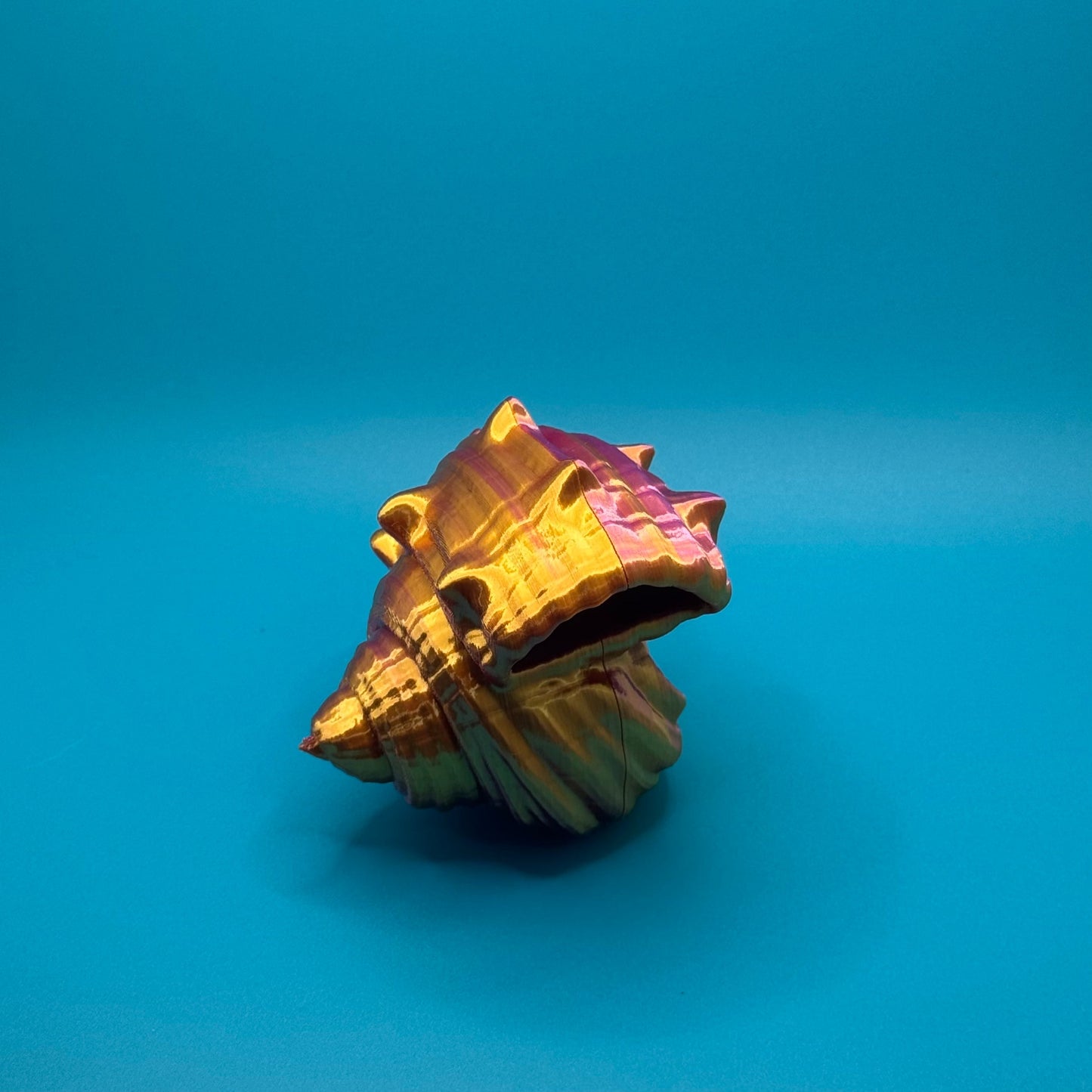 Hermit Crab on a blue background