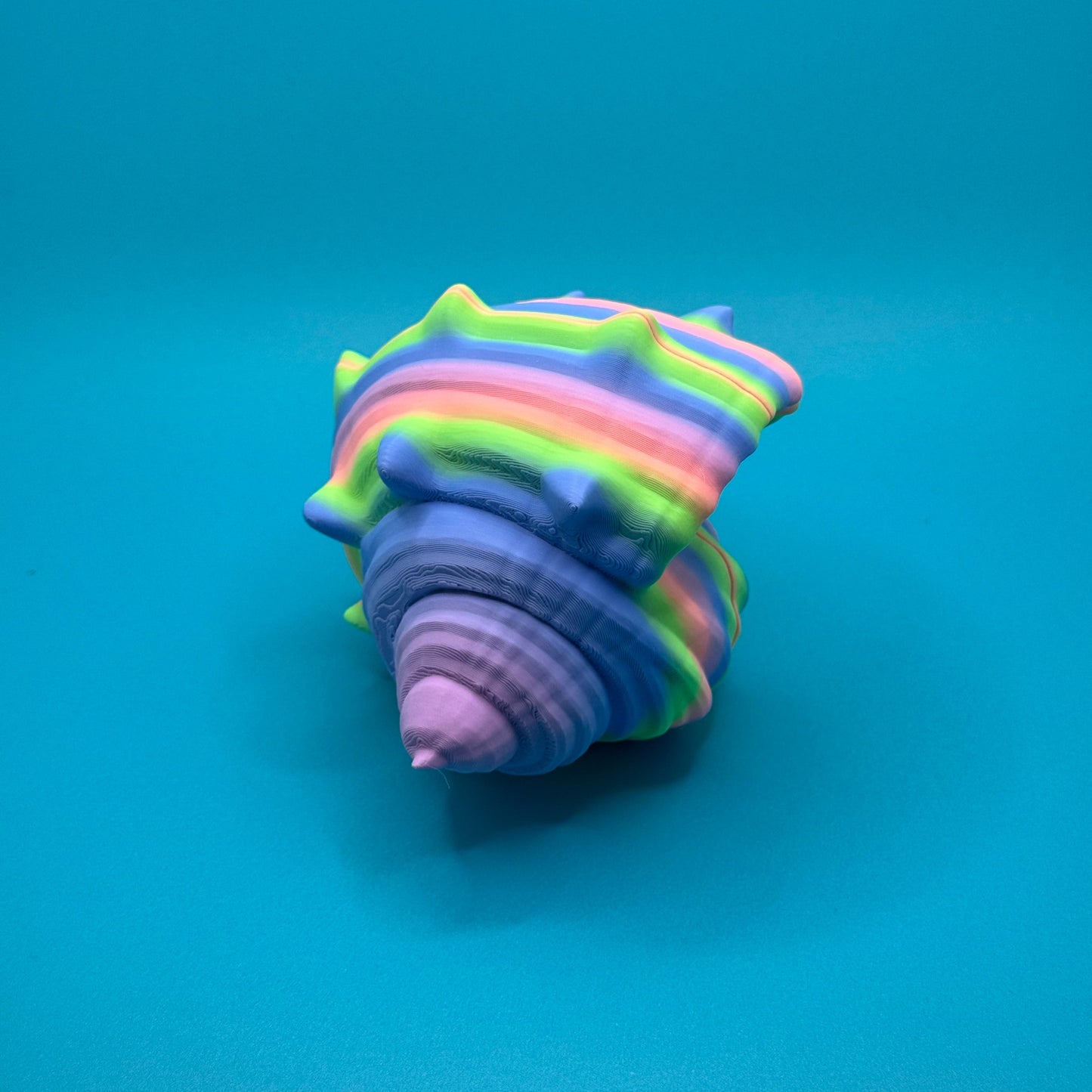 Hermit Crab on a blue background