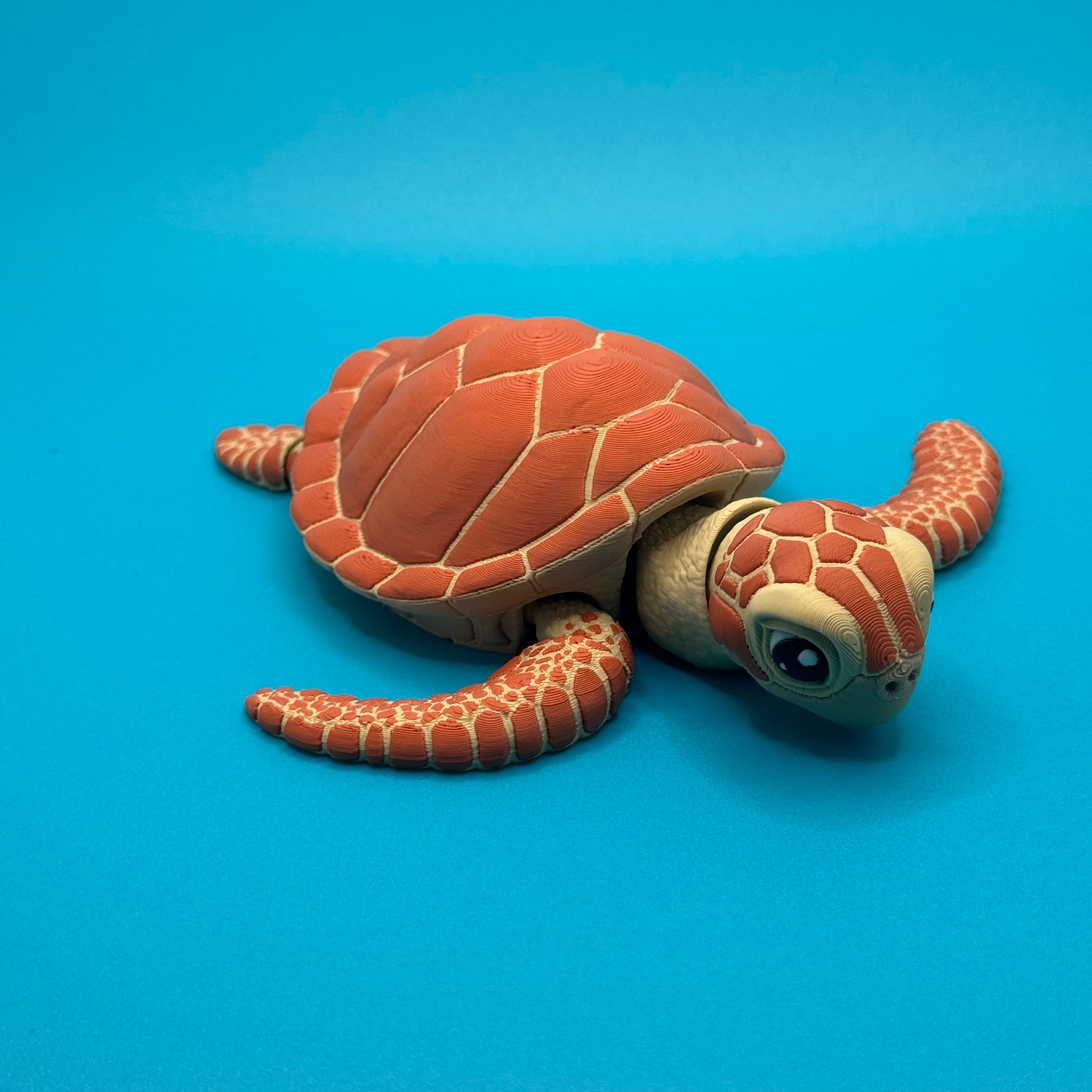 Sea Turtle 3D print on a blue background